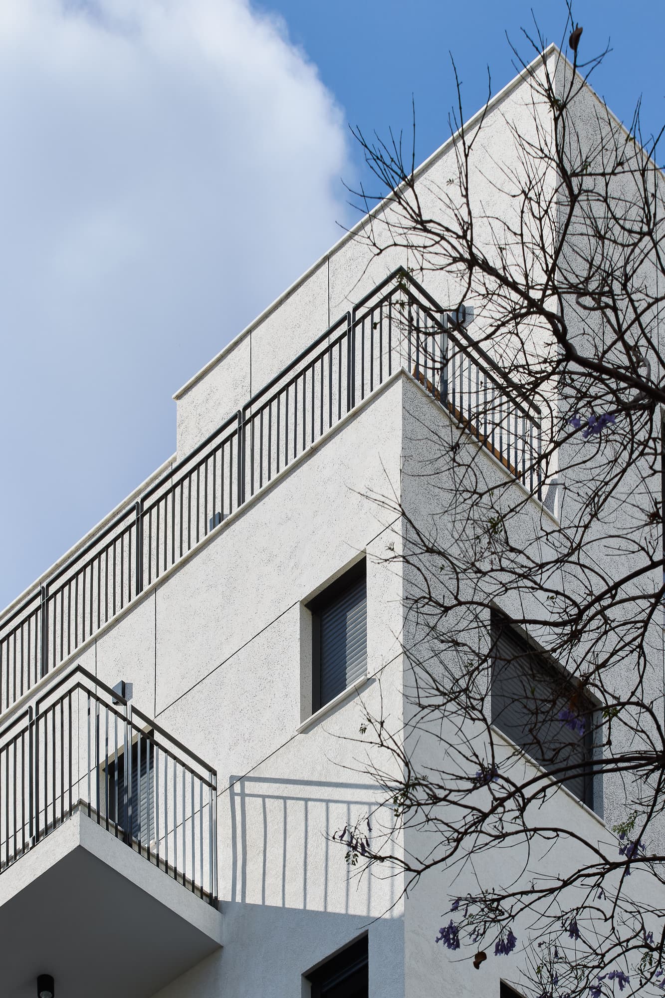 Angle de la façade de Beeri 19 vue vers le ciel avec jacaranda